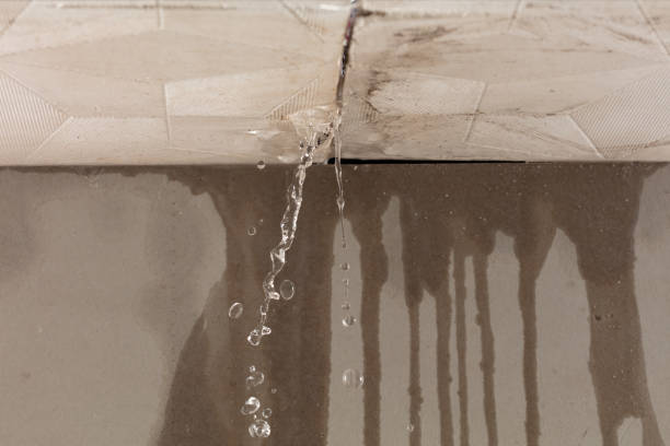 Professional Water Damage Repair technician working in Mallory, WV